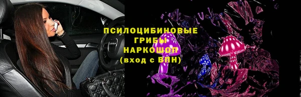 a pvp Алзамай