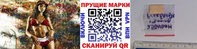 купить наркотики цена  Заволжье  Наркотические марки 1,5мг 